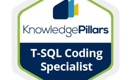 T-SQL Coding Specialist