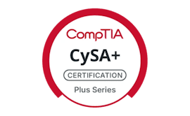 Cybersecurity Analyst