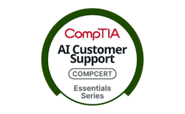 AI Customer Support
