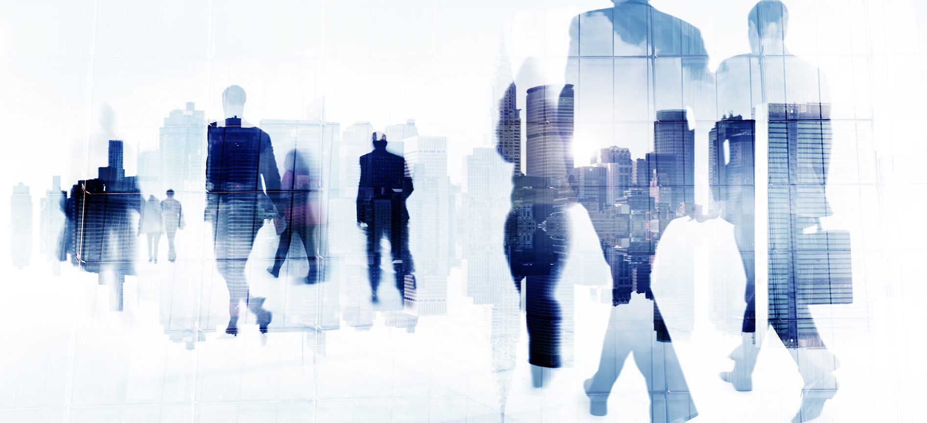 CRM Software professionale - Software gestionali e CRM - Pipeline Srl